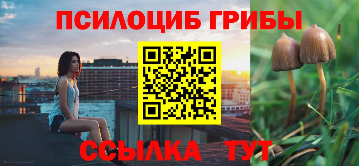 Галлюциногенные грибы мицелий  Вход с VPN  Корсаков 
