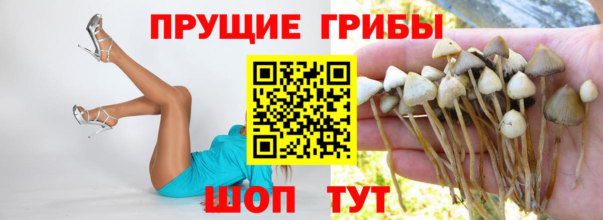 Галлюциногенные грибы ЛСД Корсаков